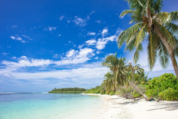 Où participer à des ateliers de fabrication de tissus traditionnels en Inde?