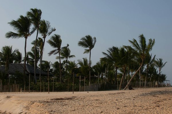 Comment organiser une croisière pour découvrir les fermes aquacoles en Norvège?